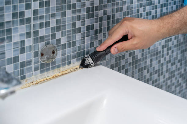 Best Attic Mold Removal  in Rkside, PA
