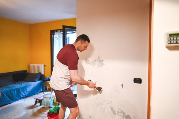 Best Office Mold Removal Services  in Rkside, PA